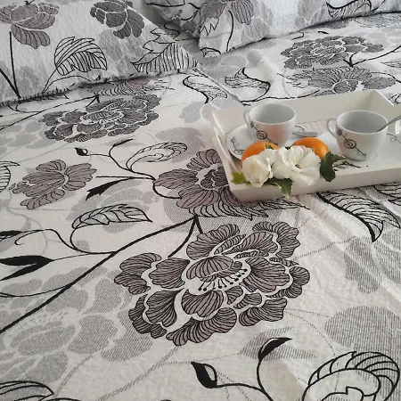 Danijela I * 풀라